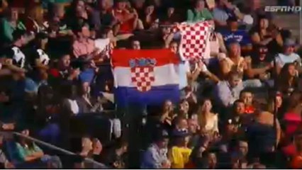 Roy Nelson vs Stipe Miocic fight video