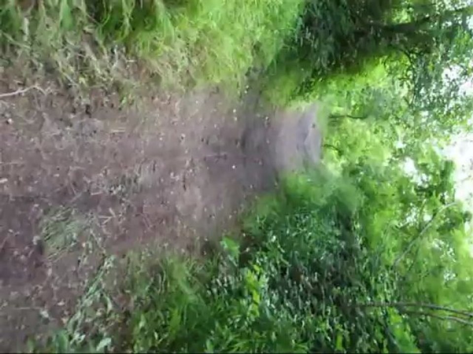 Slow Motion