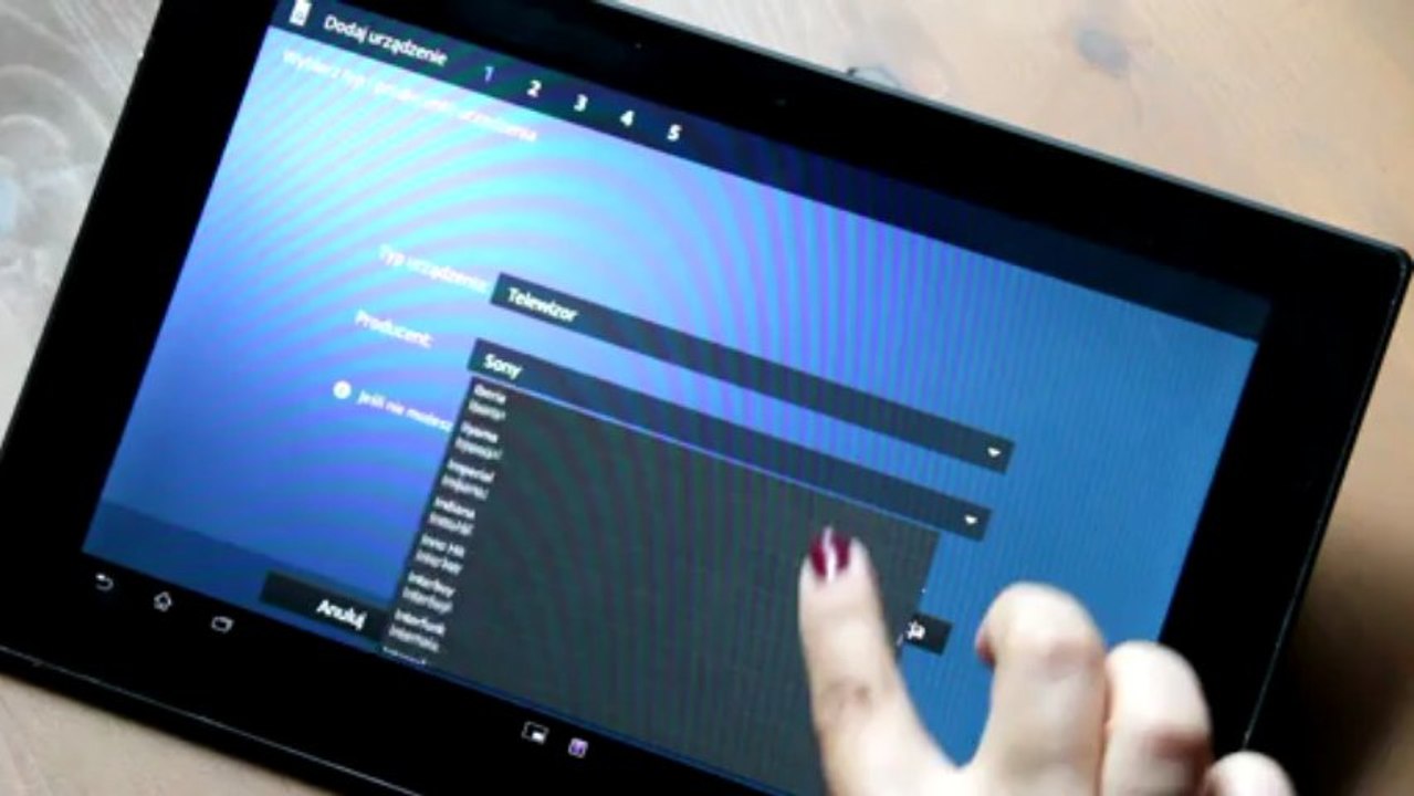 Sony Xperia Tablet Z - pilot