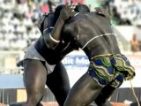 Senegalese Wrestling-African Style Fighting
