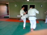 Nihon tai-Jitsu: Défense contre mae geri