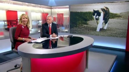 BBC Points West - 13/6/13