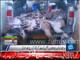 Ek Shehri ne 10 Hiranh marker apni tasavir Social Media per daal di