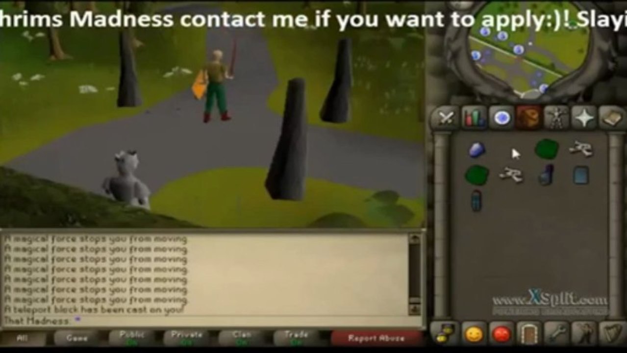 Slow & Steady Wins the Race