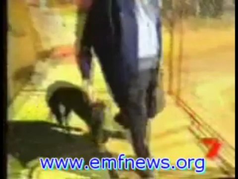 Ionizing Radiation, Cell Tower Radiation