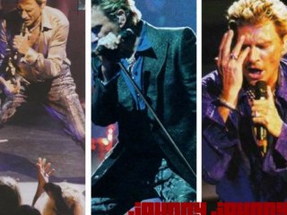 DIEGO PAR BERNIY DE JOHNNY HALLYDAY 2 - Copie