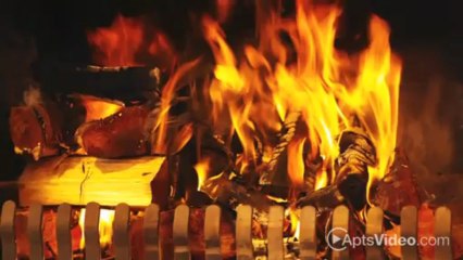 Desert Shadows Apartments in San Antonio, TX - ForRent.com