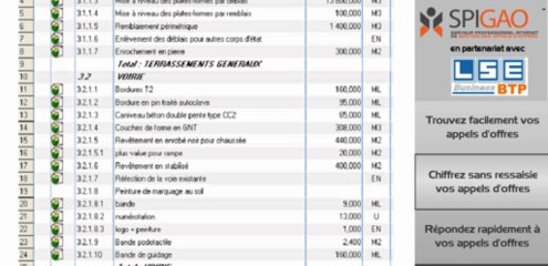 Exploitez vos appels d'offres du BTP avec SPIGAO et LSE