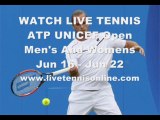 ATP UNICEF Open 2013