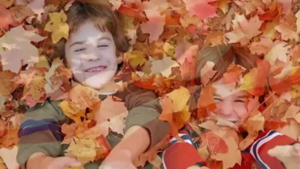 Dean Scheu - Patriotic Video Ever - American Country