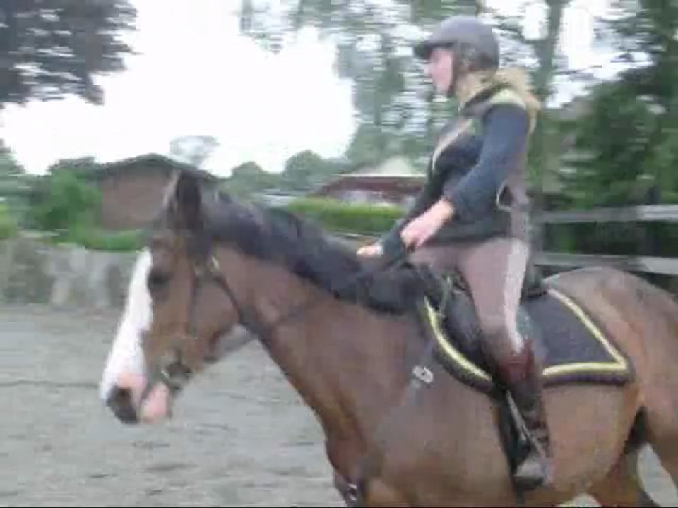 3.Voltee.mors.galop