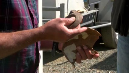 Reportage INRAP Lannion