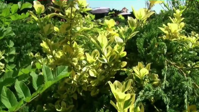 Chambres d'hôtes à vendre Sud-ouest - maison-hotes-pays-basque.com