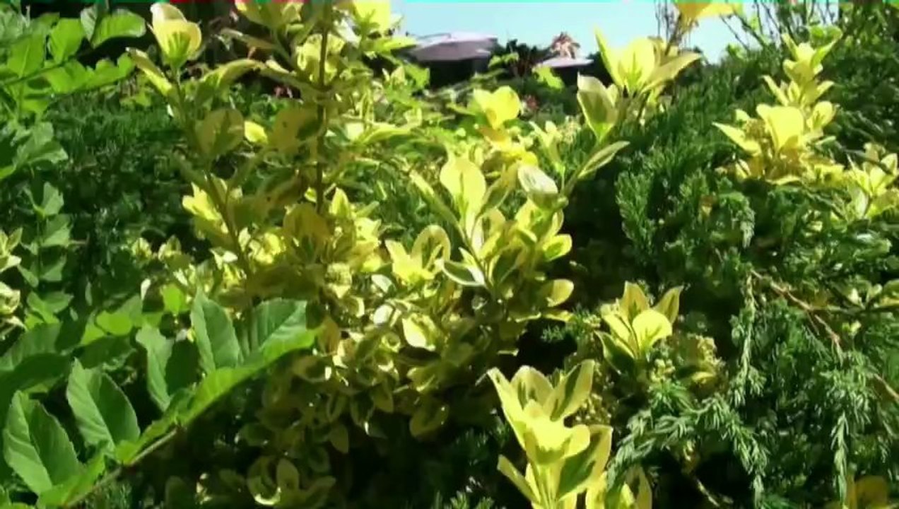 Chambres d'hôtes à vendre Sud-ouest - www.maison-hotes-pays-basque.com