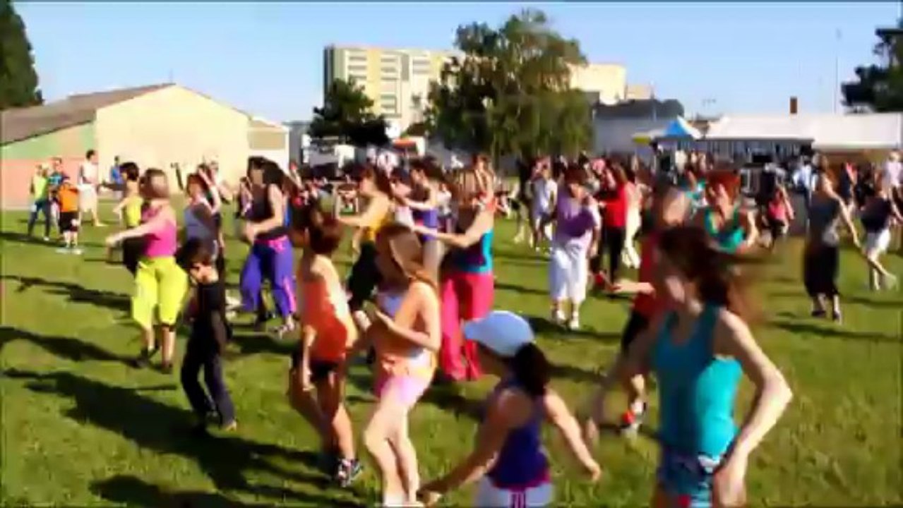flash mob muret 2013 chores