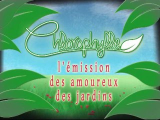 Chlorophylle épisode 47 sur Télé Doller