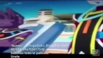 Dragon Ball Z La Batalla De Los Dioses-goku ssjDios gohan vegeta trunks goten videl -escena filtrada
