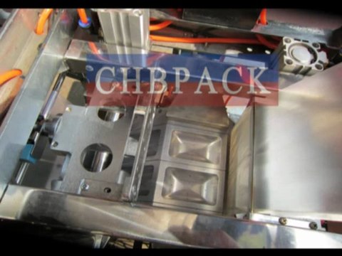 Instant Washing powder/Instant detergent packaging machine