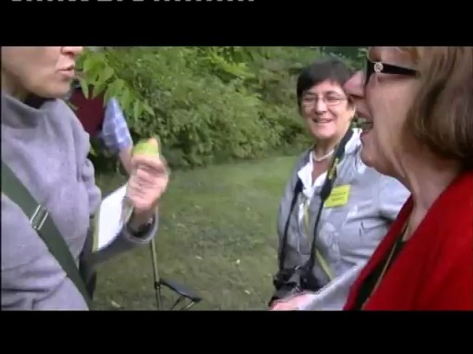 Journées Européennes du Patrimoine 2012 (bonus)