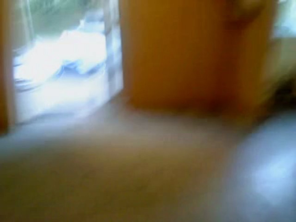 MOV00562