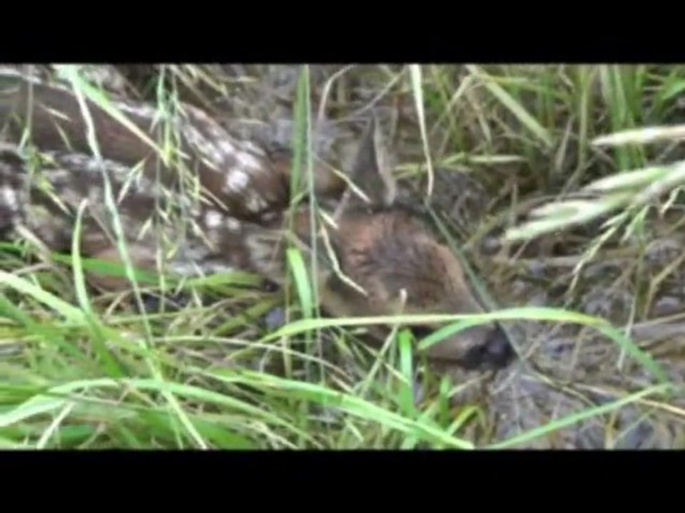 2 rencontres peu ordinaires 9.06.2013