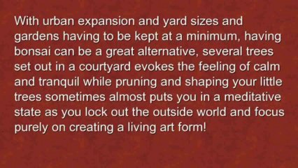 Bonsai Gardening Secrets Review