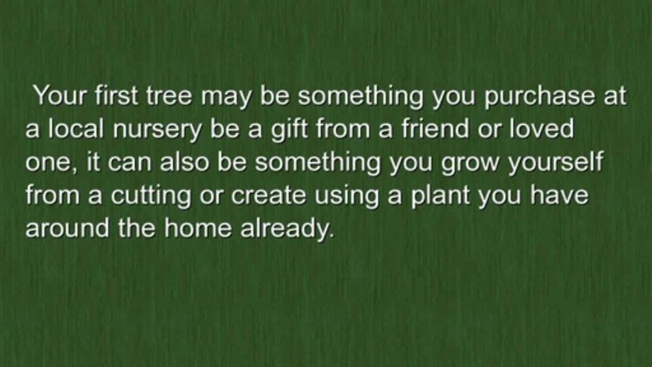 Learning How to Bonsai