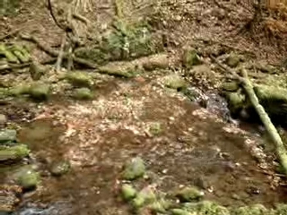 Cascade du moulin d'aval (39)
