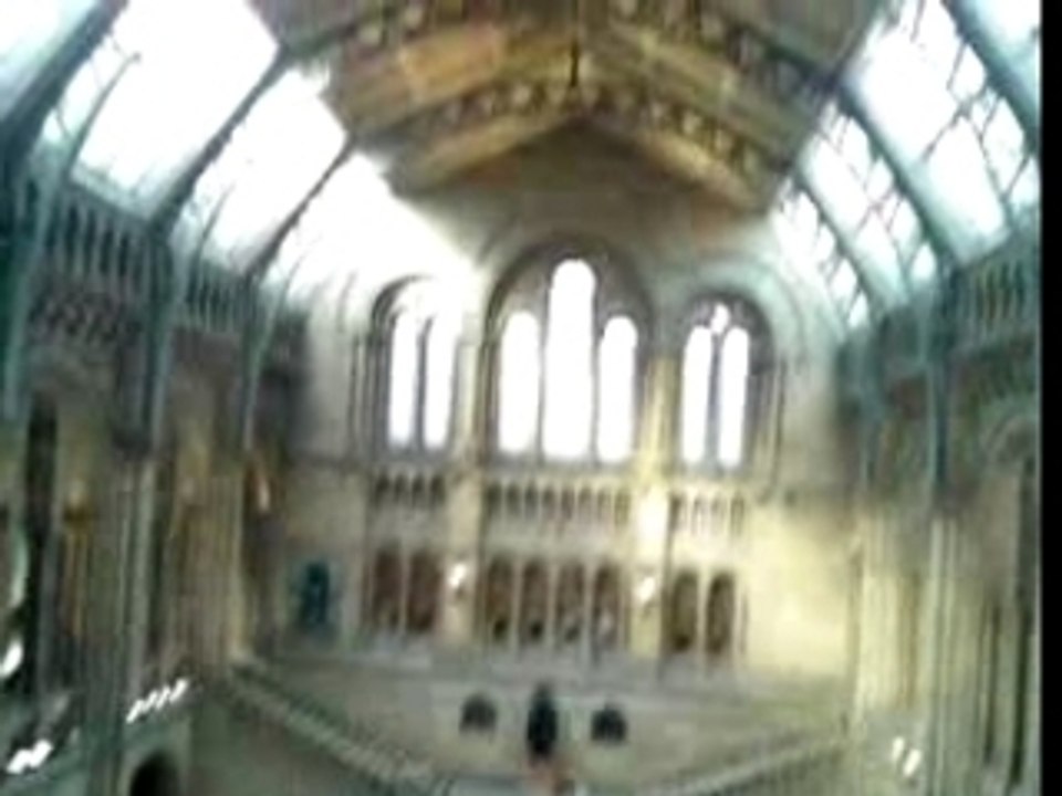 Nico et Julie à l'école des Sorciers