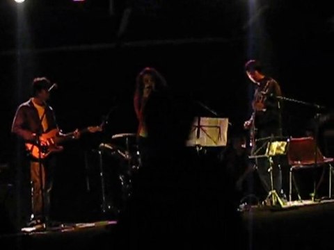 Roadhouse Blues. cover The Doors