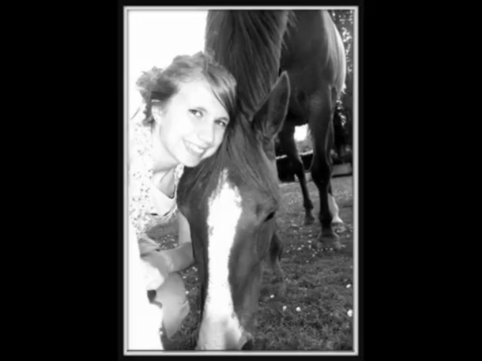 Nul être de la nature ne captiva mon cœur aussi fortement que le beau trotteur alezan nommé Super kuky