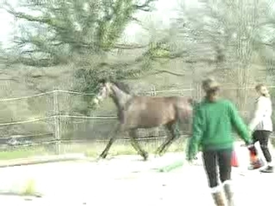 essai only mpeg1