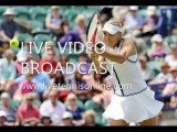 Live Online ATP AEGON International 2013