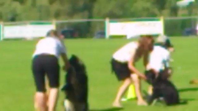 Sabine et Gibs démonstration à Dolving