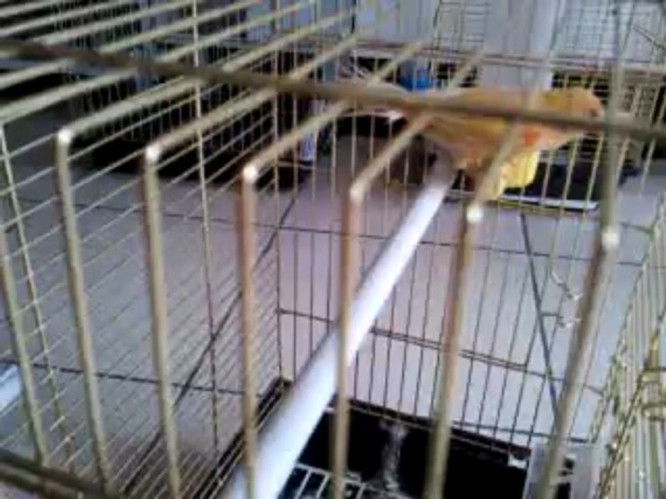 Video0102