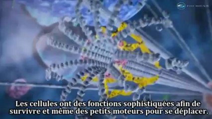 la complexité de la cellule part 1