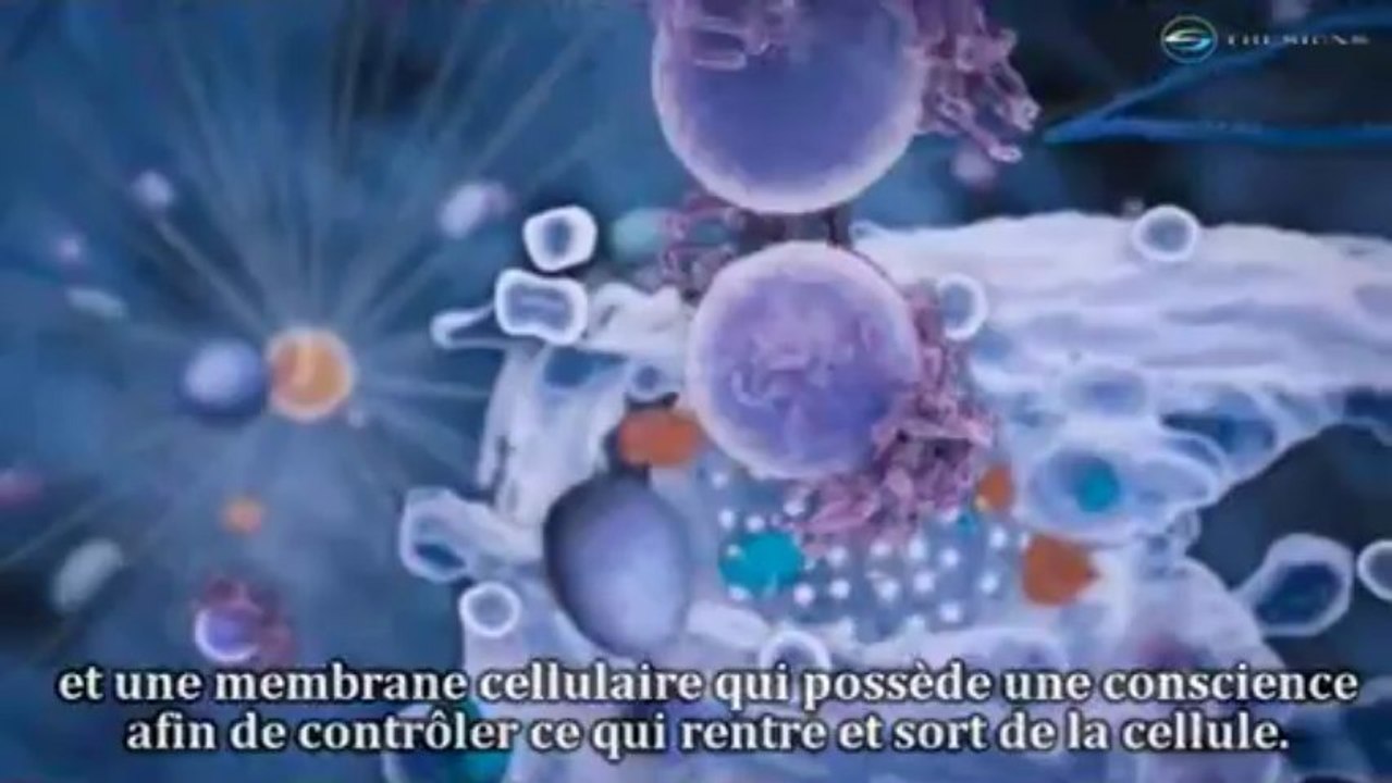 la complexité de la cellule part 2