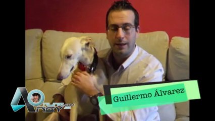 Calendario solidario 2013 Angy colabora con La Galga Lara