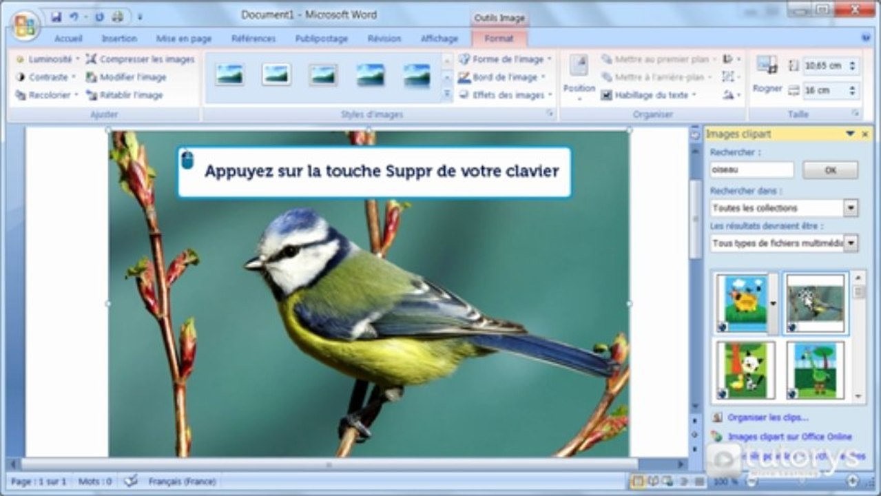 Comment insérer des images avec Word 2007 ?