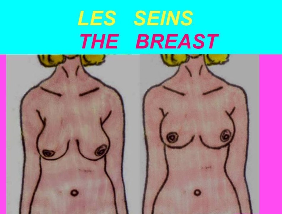 transformations du corps feminin de 20 à 50ans