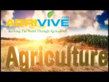 http://www.AGRIVIVE.com Buy Bulk Corn, Maize, Feed Corn, Corn Feed, Corn Gluten Feed, Feed Corn Prices, Corn for Chicken Feed
