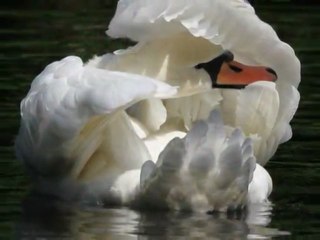 "Сона Мовсисян - Дудук и кларнет" ( "Sona Movsisjan - The Duduk And A Clarnet" )