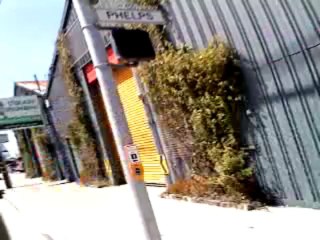 6-18-2013: THE GESTAPHO-SUSPICION CULTURE WONT SAVE THE U.S., "WE THE PEOPLE" CAN - 15