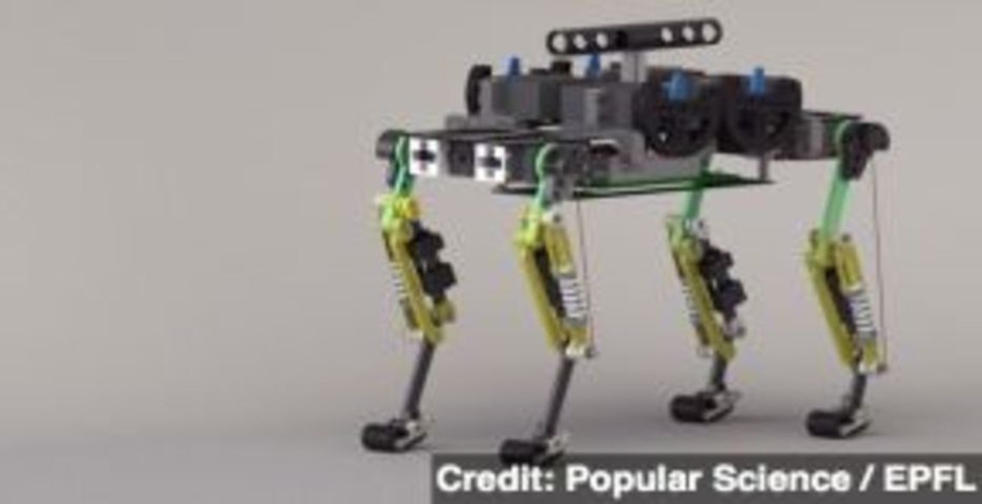 Scientists Build Robot Designed to Run Like a Cat
