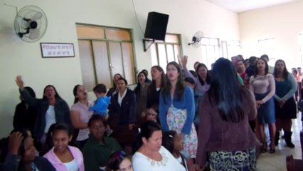 Festa do Conjunto Asafe 2013-Escudo