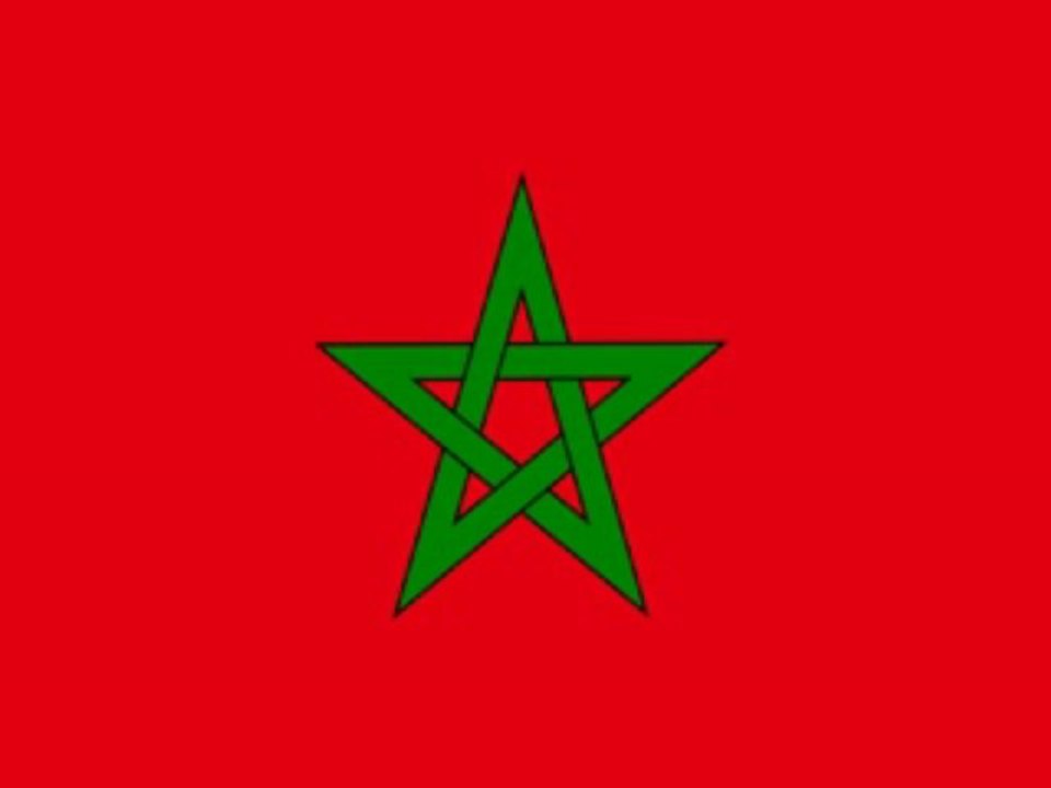 Flagge der Westsahara / Flag of Western Sahara / Drapeau du Sahara Occidental