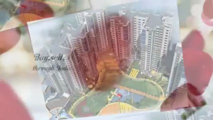 Real estate agents in Kerala