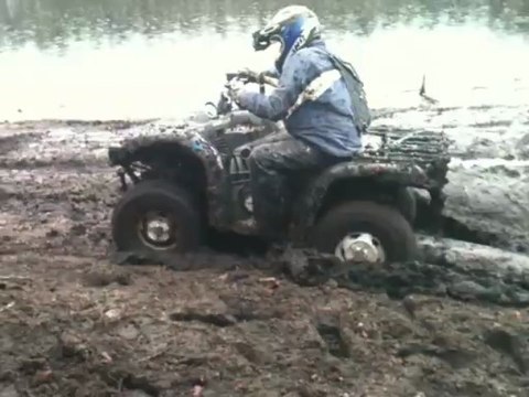 quad 660 grizzly bien planté