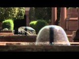 Fountains at Mughal Gardens, President's House