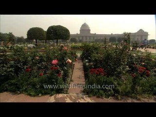 Mughal Gardens: A place scenic beauty